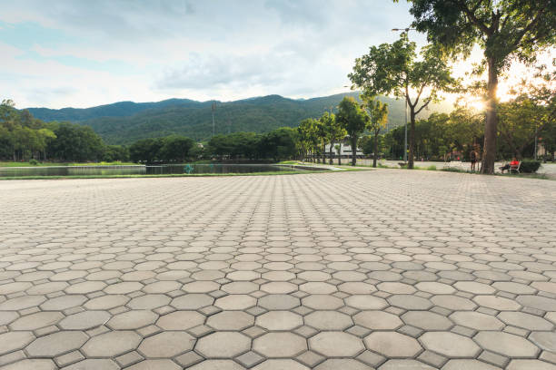 Best Concrete Paver Driveway  in Smyrna, GA